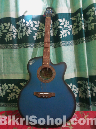 Signature Guitar 265 Model